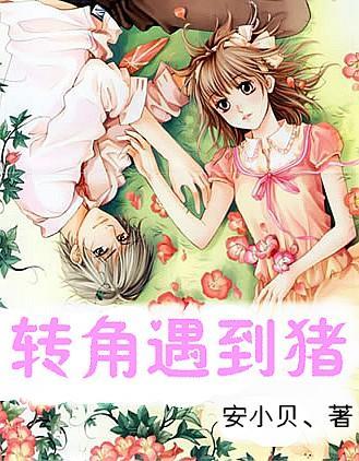 去年市城投公司完成总投资11.64亿元