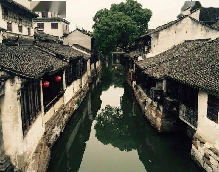 厉害了我的巧虎8